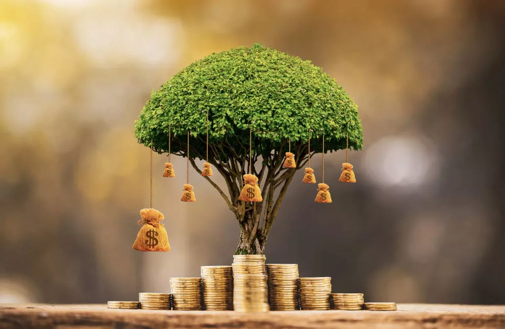 money tree depicting value-based care